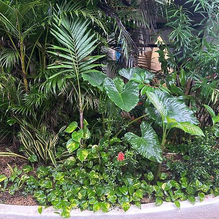 Pura Vida Hostel Тамариндо Экстерьер фото