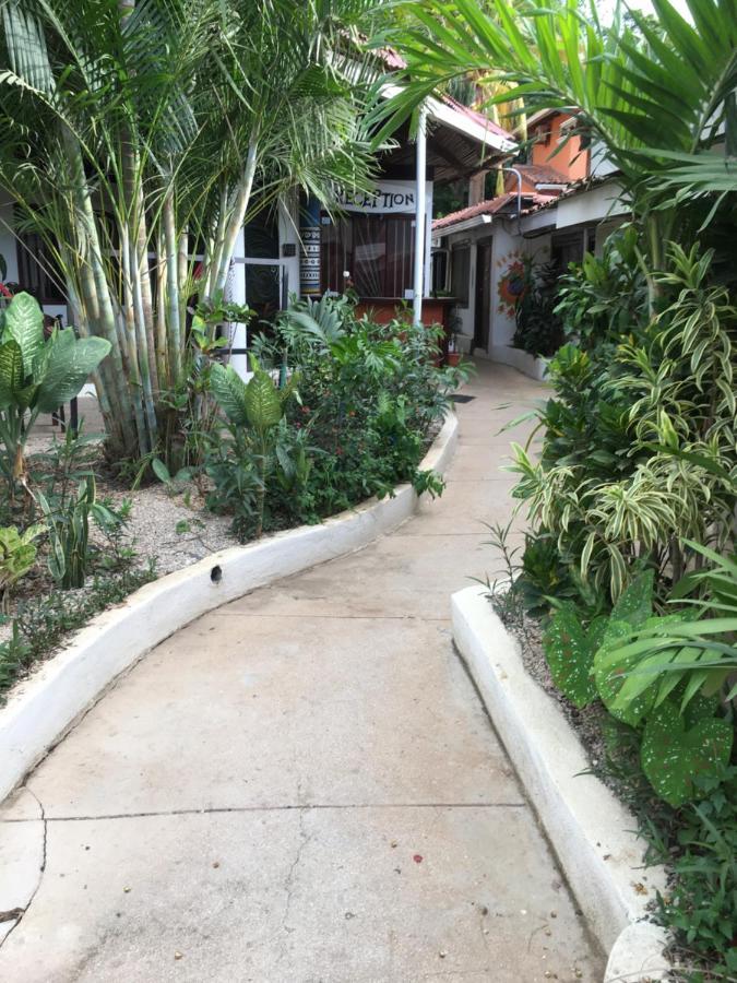 Pura Vida Hostel Тамариндо Экстерьер фото