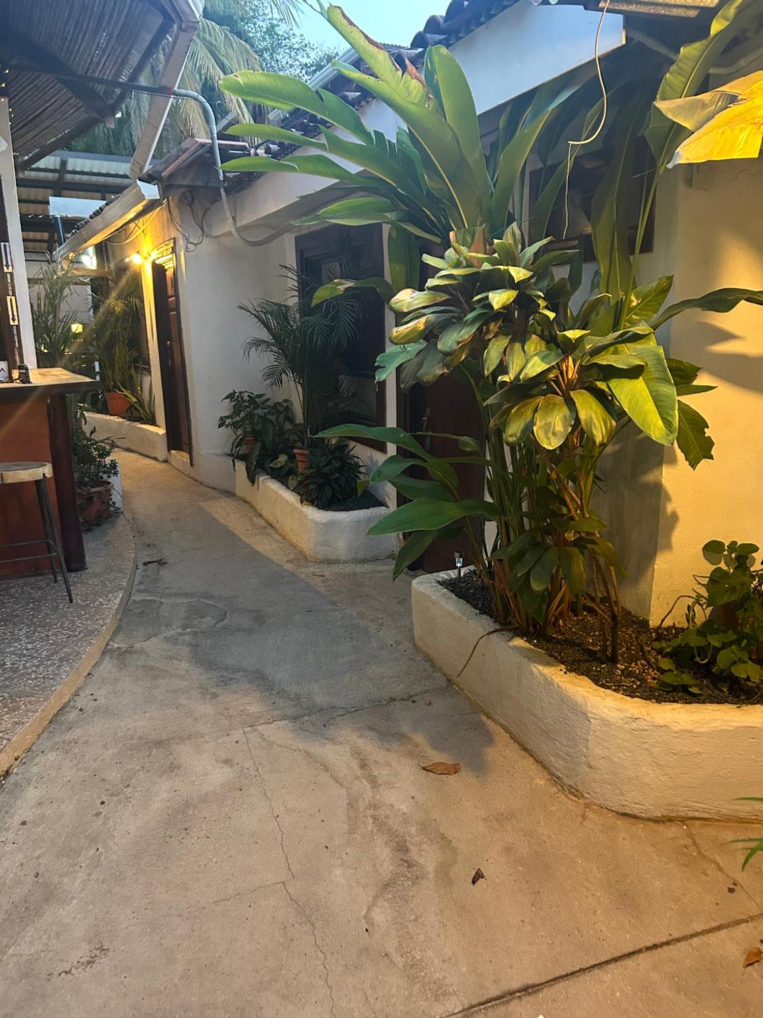 Pura Vida Hostel Тамариндо Экстерьер фото