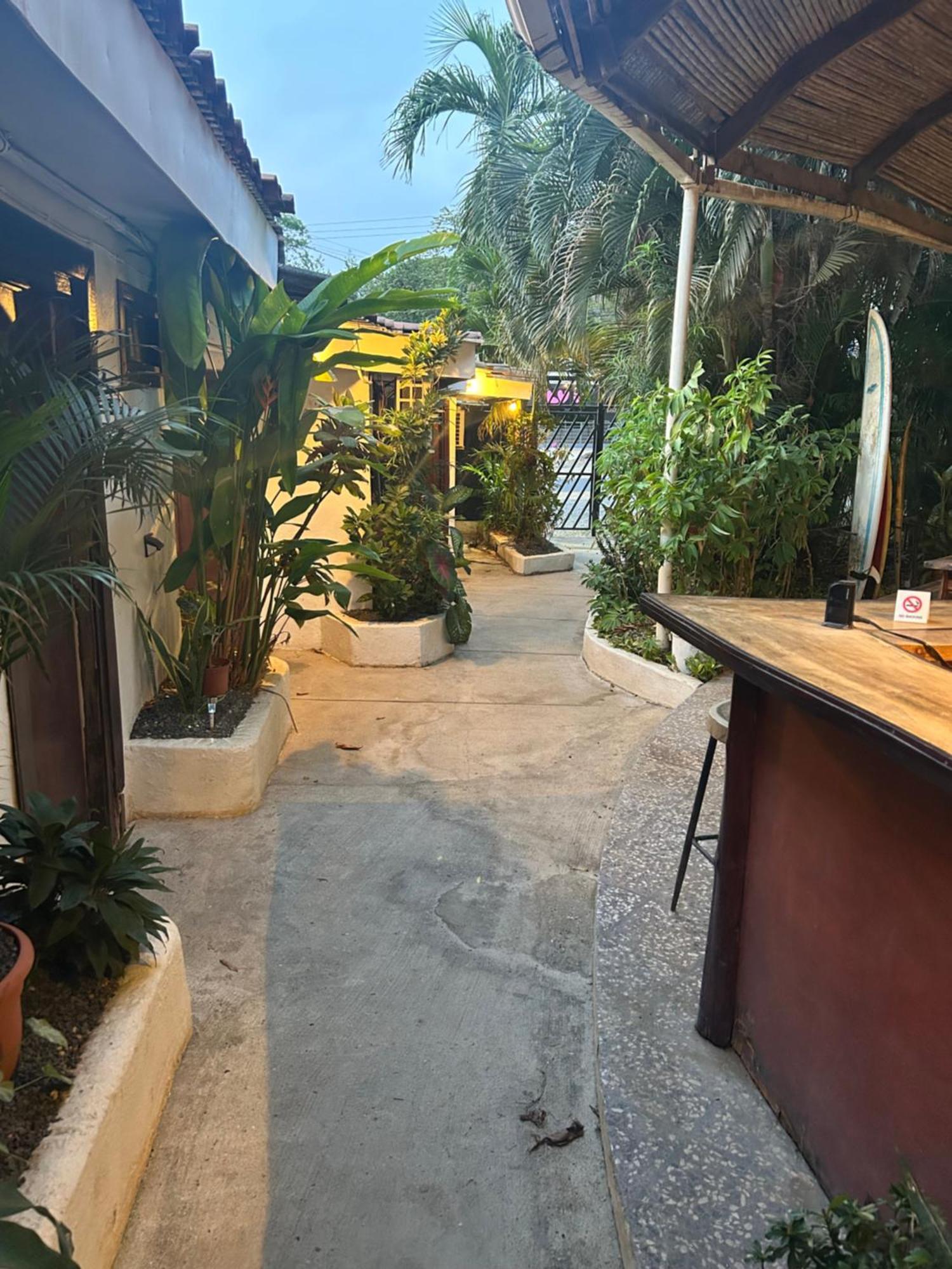Pura Vida Hostel Тамариндо Экстерьер фото